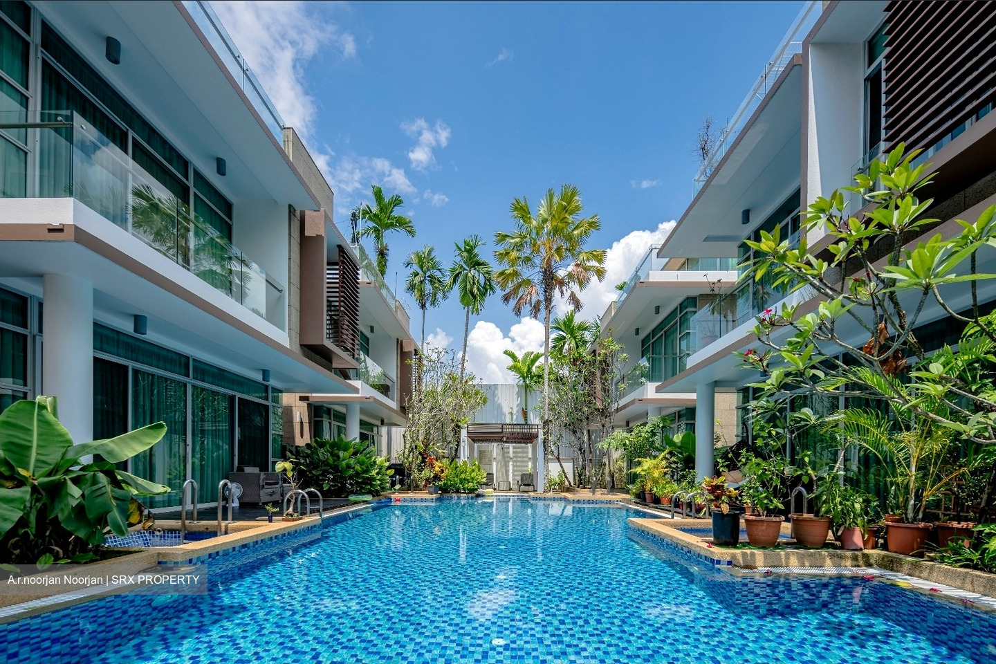 Whiteshores (D19), Terrace #502671091